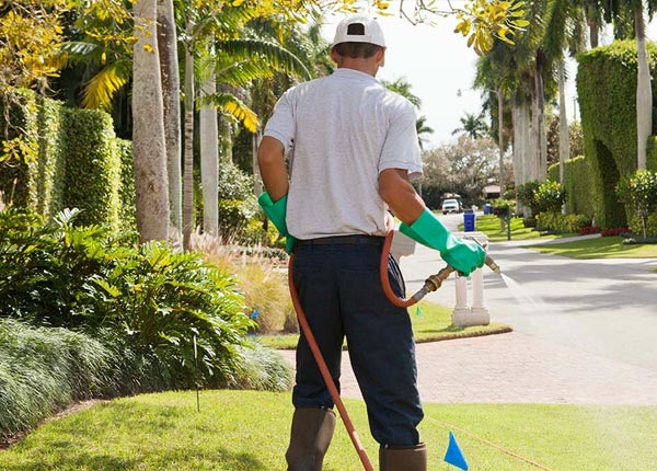 About Stanwood MI Pest Control Pros